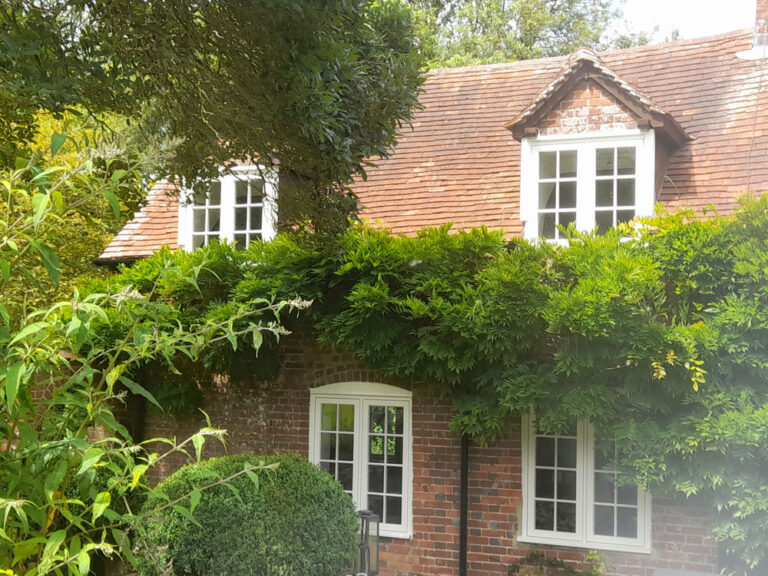 Replacement Timber Windows and Doors Wantage. Woodcraft Windows.